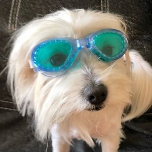 Meet your Posher, Alexandra